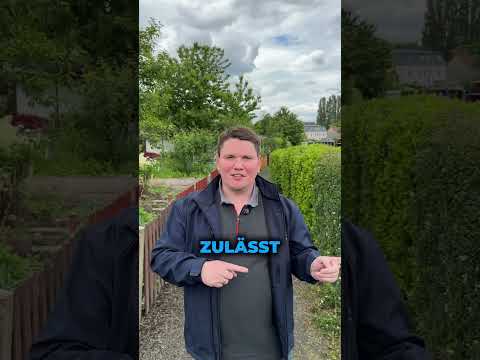 Vorschaubild: Mit diesem Trick kann dein Kind bei der Kfz-Versicherung mehrere Tausend € sparen 💶🤯.